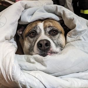 Meet your Posher, Arael